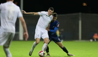 Petar Grbić