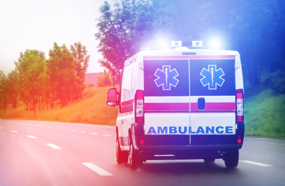 Detalji nesreće u Hrvatskoj: Srna iskočila pred auto, vozač mahao da se zaustave