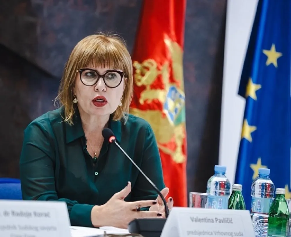 Pavličić: Za op&scaron;ti napredak dru&scaron;tva važno je postojanje snažnog, nezavisnog i efikasnog pravosuđa