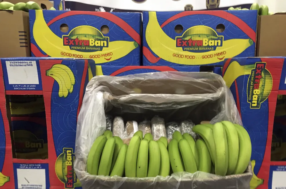 Kokain u bananam, ilustracija