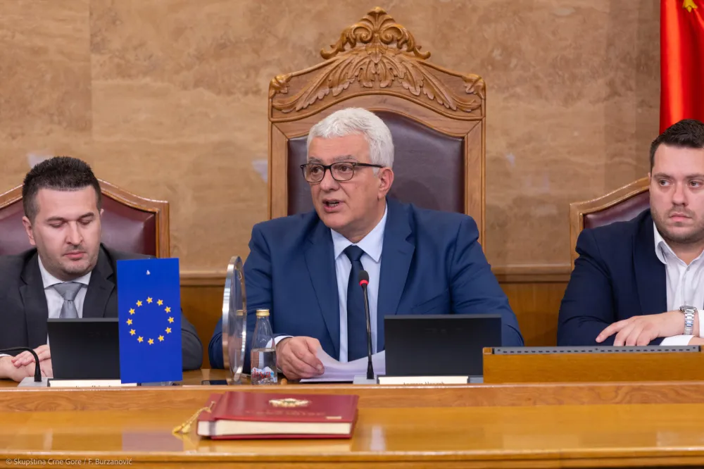 Glasanje o smjeni Mandića u junu?