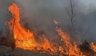 Požari za godinu "progutali" preko četiri miliona