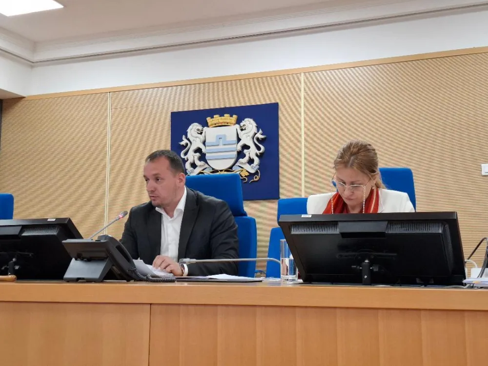Vladimir Bulatović i Jelena Milić 
