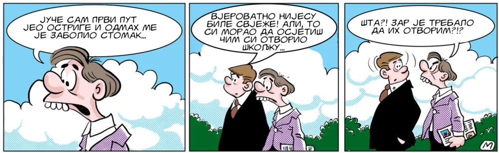 Mirko Zulić Strip Dana