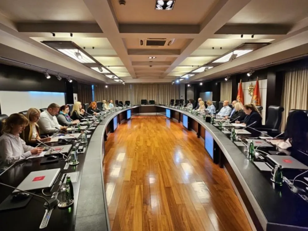 Janju&scaron;ević: Kreirati Nacionalni akcioni plan POU koji&nbsp;reflektuje potrebe crnogorskog dru&scaron;tva