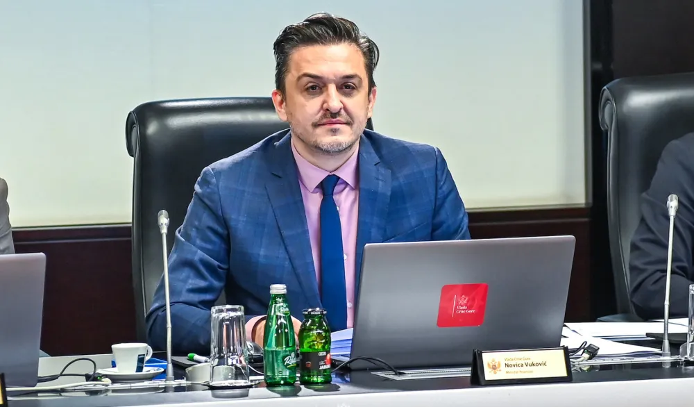 Vuković: Rast u skladu sa očekivanjima Ministarstva finansija