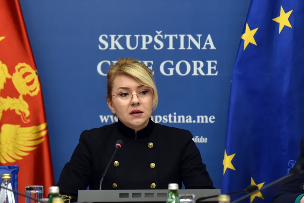 Odložena sjednica Ustavnog odbora, glasanje o imenovanju sudija US kad se steknu uslovi