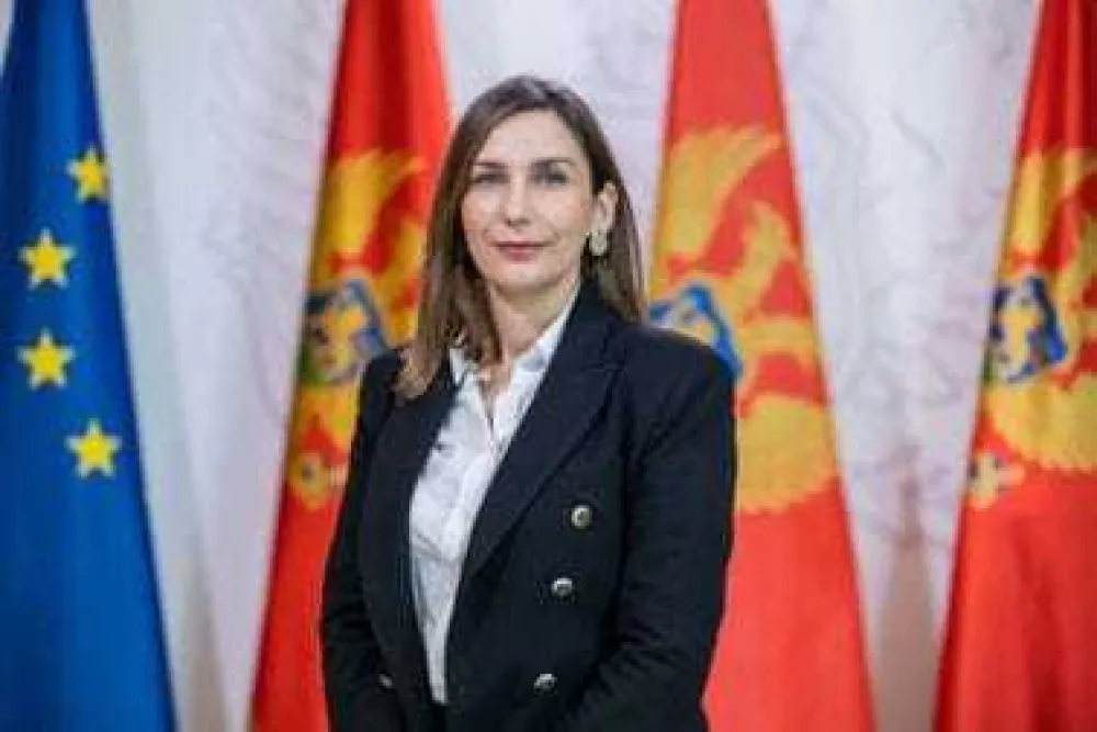 Despotović Đekić o procesu EU integracija za "Dan": Imamo jasan plan usagla&scaron;en s Briselom