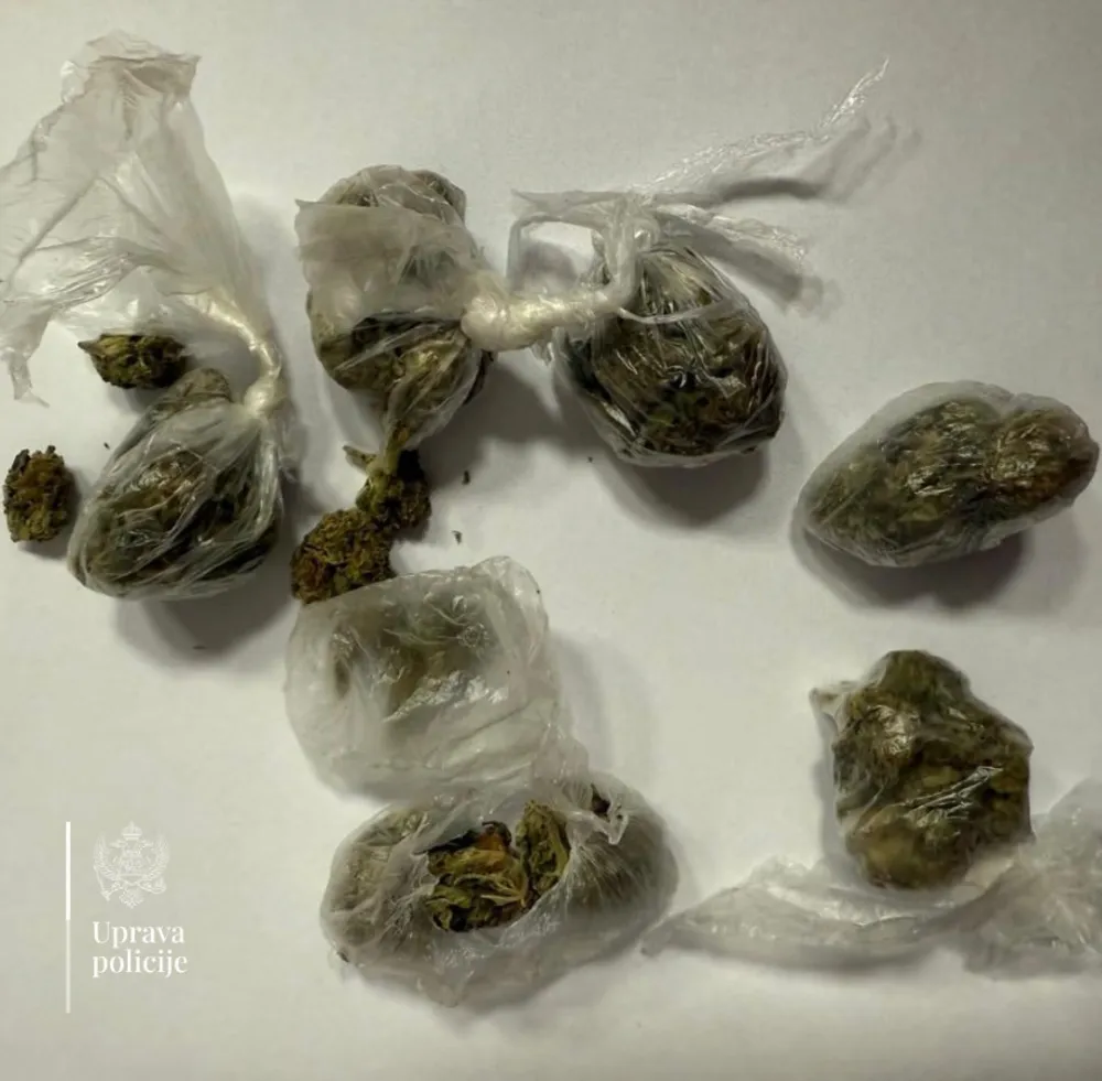 Tivat: Na žurci kod devetnaestogodi&scaron;njeg Podgoričanina pronađena marihuana namijenjena prodaji