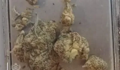 UP: Na Sukobinu oduzeta marihuana, uhap&scaron;en njemački državljanin