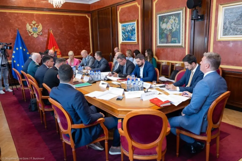 Odbor podržao slanje vojnika u NATO misiju za pomoć Ukrajini: DNP protiv takve odluke