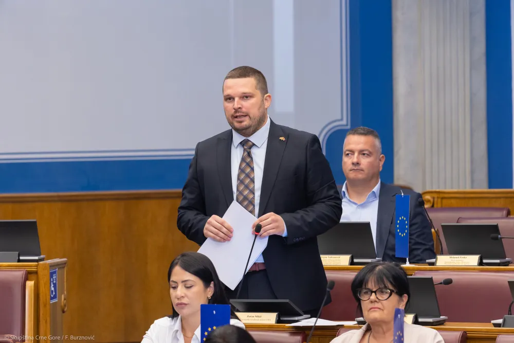 Mikić pisao Lakoviću: Bezbjednosna situacija pogor&scaron;ana - u &scaron;to skorijem roku zakazati sjednicu Odbora&nbsp;