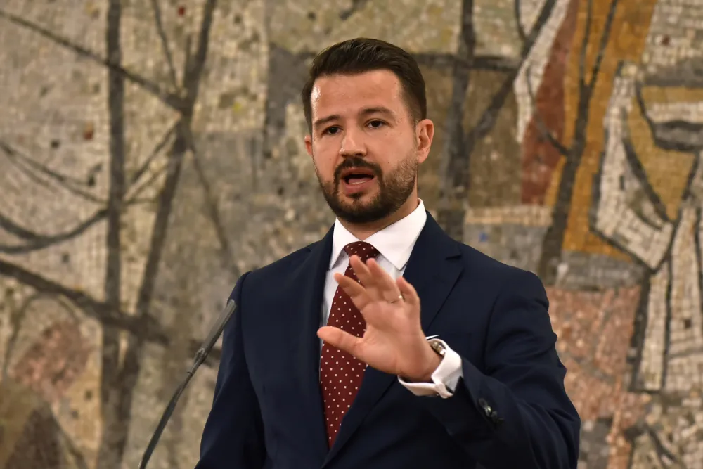 Milatović proglasio 28 zakona