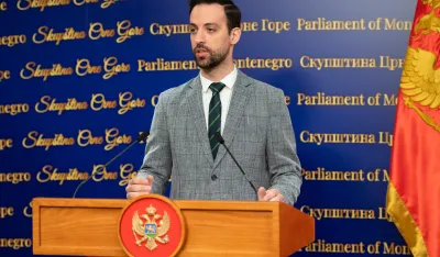 Zirojević o odluci Anketnog odbora: Pozvati i Danila Mandića, da se striko raželi sinovca