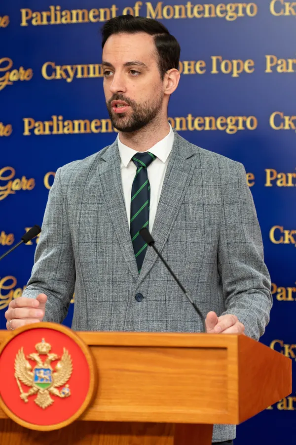 Zirojević o odluci Anketnog odbora: Pozvati i Danila Mandića, da se striko raželi sinovca