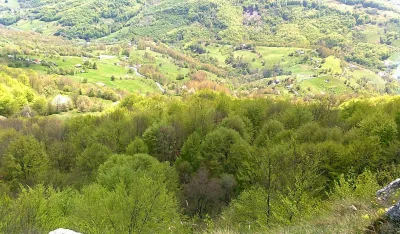 Stočar od straha bio paralisan nakon bliskog susreta sa opasnom zvijeri: Država da nas za&scaron;titi od medvjeda