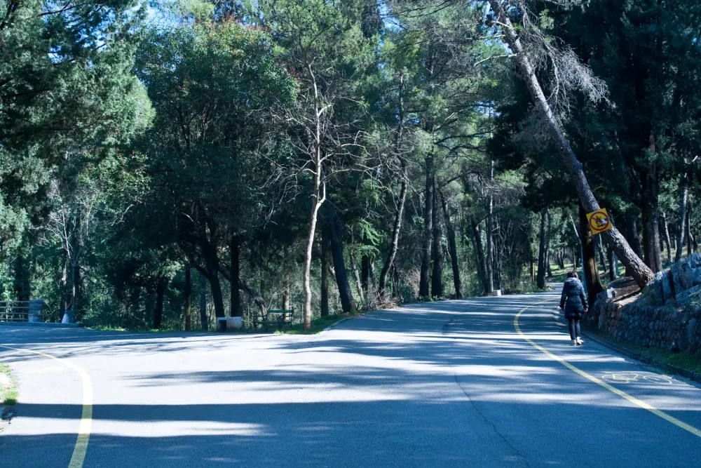 Park &scaron;uma Gorica i brdo Ljubović zatvoreni za posjetioce