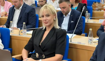 Ljiljanić za "Dan": Sve odluke mogu da čekaju septembar