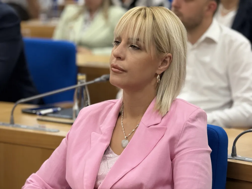 Ljiljanić: PUP se ne smije donositi po principu "paf, paf"