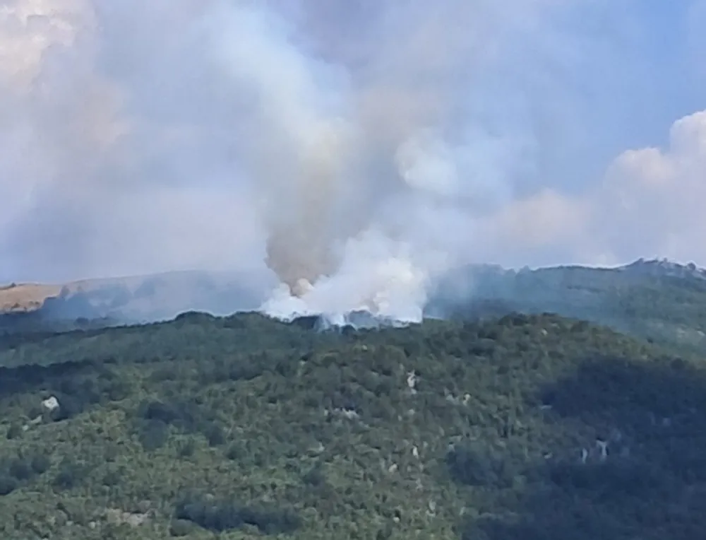 Gori na Lukovu