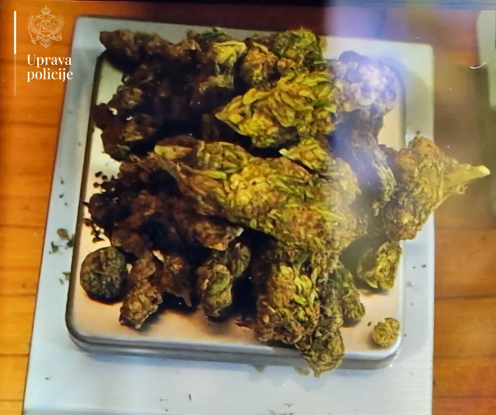 Uhap&scaron;ene dvije osobe, pronađena marihuana