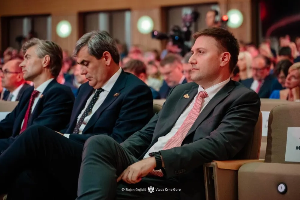 &Scaron;imun na 20. Međunarodnoj konferenciji Bledskog strate&scaron;kog foruma: Jačanje regionalne i evropske saradnje u oblasti zdravstva
