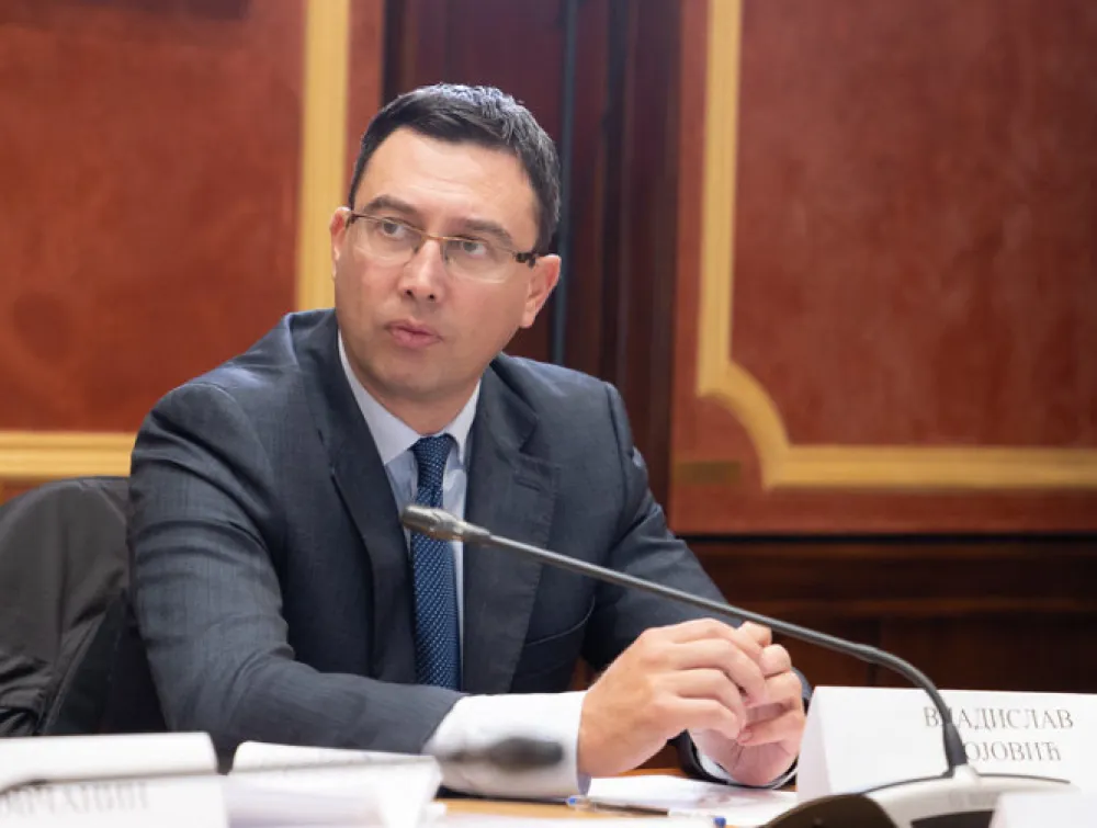 Vladislav Bojović, DNP