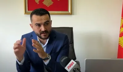 Pod lupom radno iskustvo direktora Zelenila