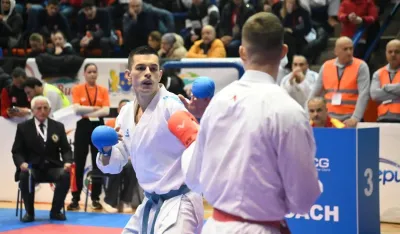 Nikola Malović
