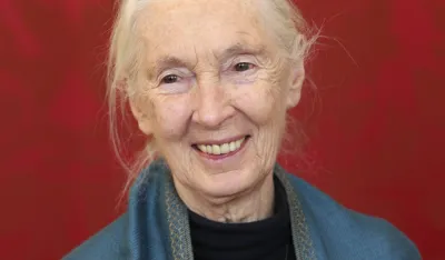 Džejn Gudal