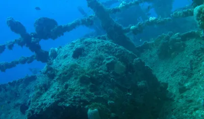 Pornađeni zlatnici u podmorju blizu Floride