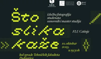 &Scaron;ta slika kaže