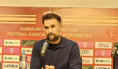 Mirko Vučinić