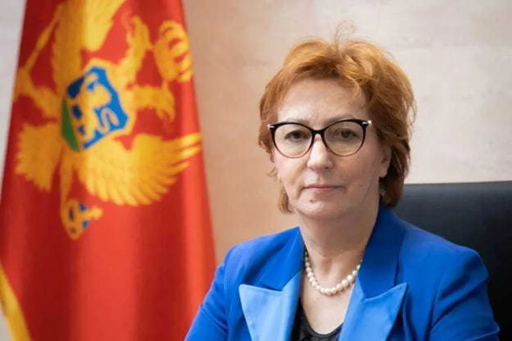 Delegacija Skup&scaron;tine Crne Gore na sastanku parlamentaraca u okviru Berlinskog porcesa