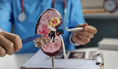 Naučnici stvorili "univerzalni bubreg": Moći će da ga prihvati svaki paijent