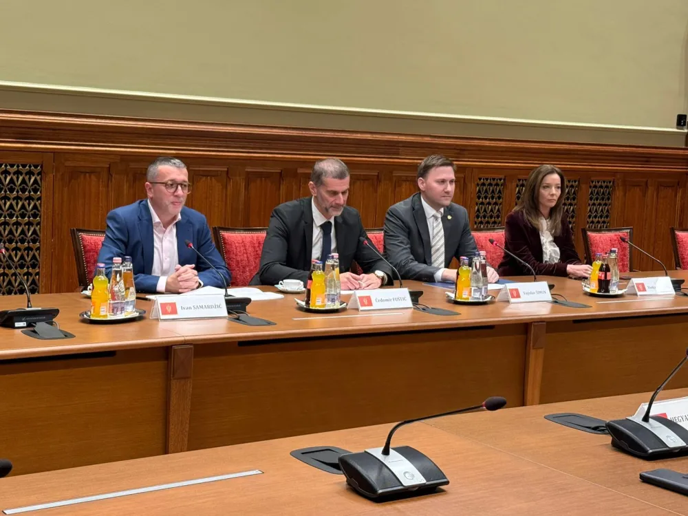 &Scaron;imun-Pinter: Crna Gora i Mađarska jačaju saradnju u oblasti javnog zdravlja