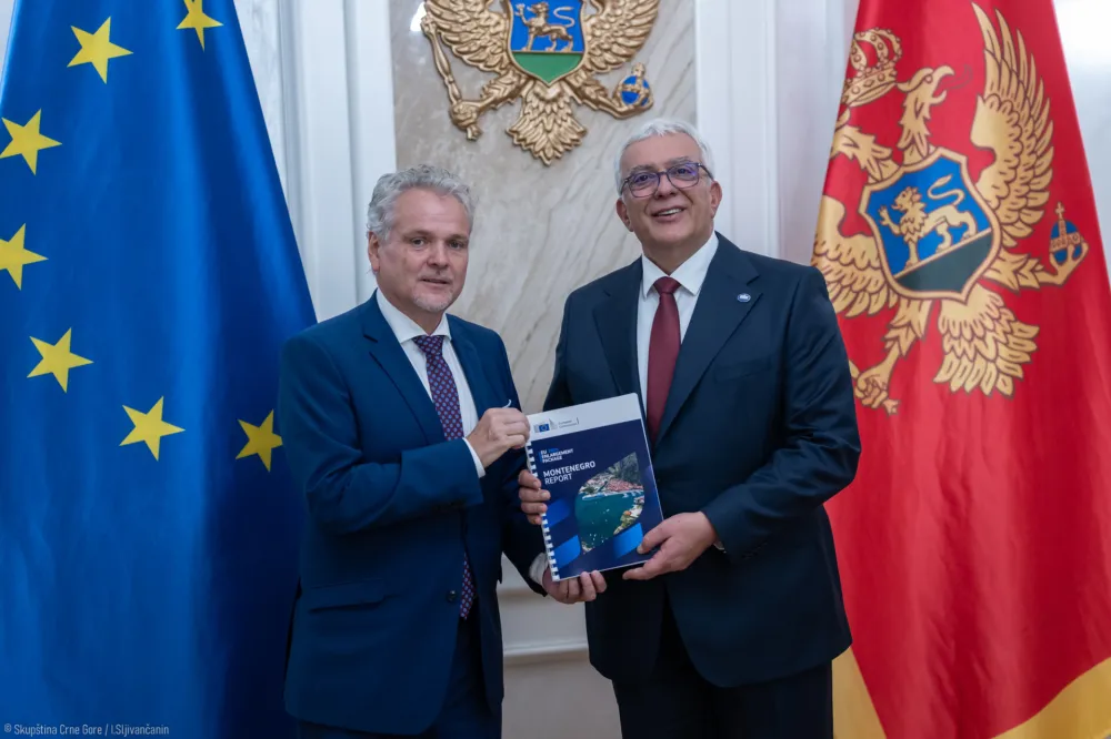 Mandić-Satler: Crna Gora ide u Evropu uspravno i sa samopouzdanjem
