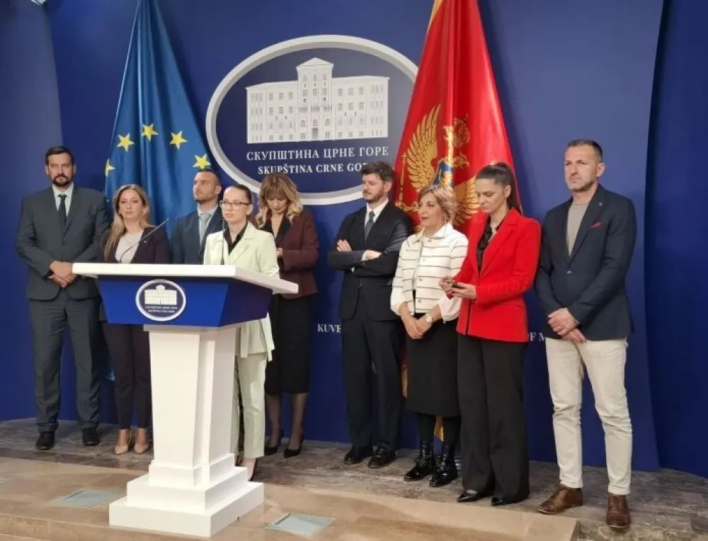 Čarapić: PES će uraditi sve da obezbijedi političku stabilnost