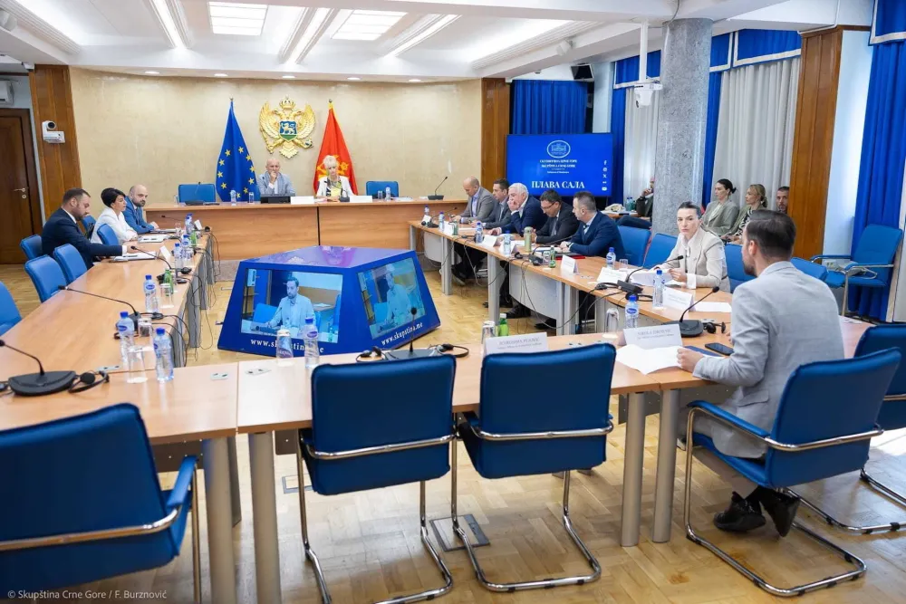 Opozicija traži kontrolno saslu&scaron;anje Spajića, &Scaron;aranovića, &Scaron;ćepanovića i Janovića povodom incidenta na Zabjelu