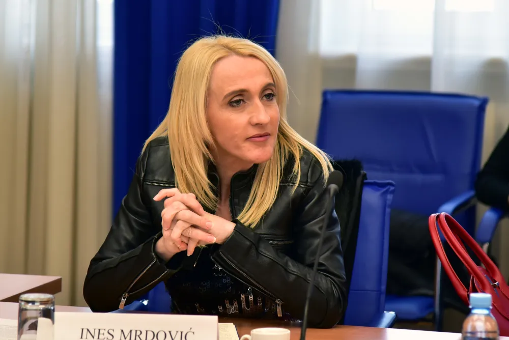 Mrdović: Za EU spremni tehnički, ali ne i su&scaron;tinski