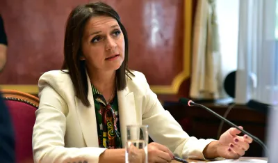 Ustavni odbor saslusanje kandidata za sudije Ustavnog suda, Snezana Armenko
