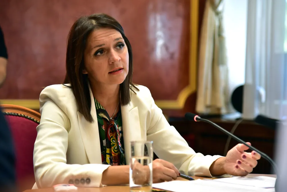 Ustavni odbor saslusanje kandidata za sudije Ustavnog suda, Snezana Armenko