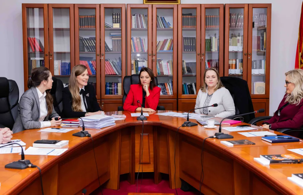 Jelić: Ostvarivanje vladavine prava nezamjenjiv uslov za efektivnu za&scaron;titu ljudskih prava