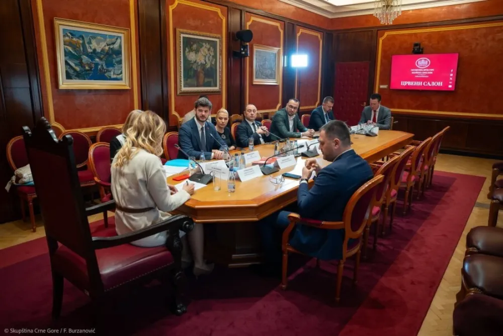 Odbor odbio zahtjev: Jelić, Kovačević i Dabović ostali bez dodatnih zarada