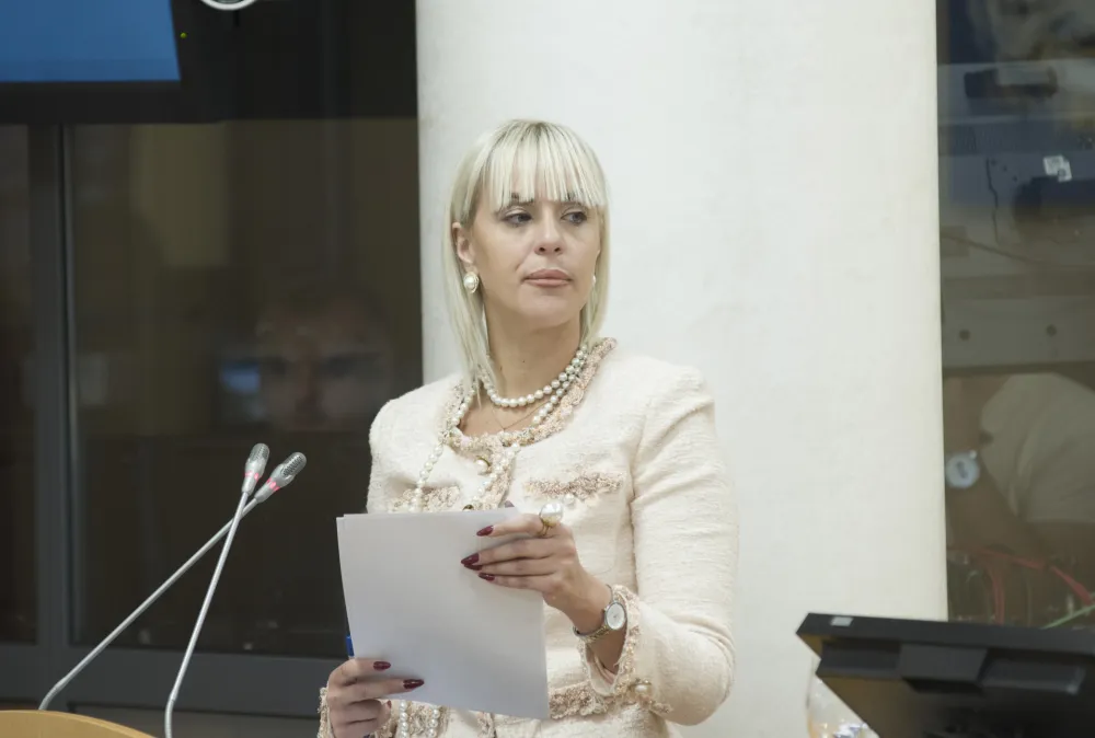 sjednica skupstine glavnog grada