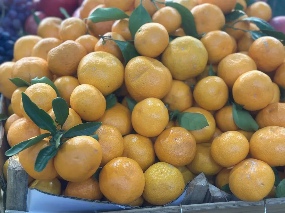 Mandarine od euro do 1,50 eura