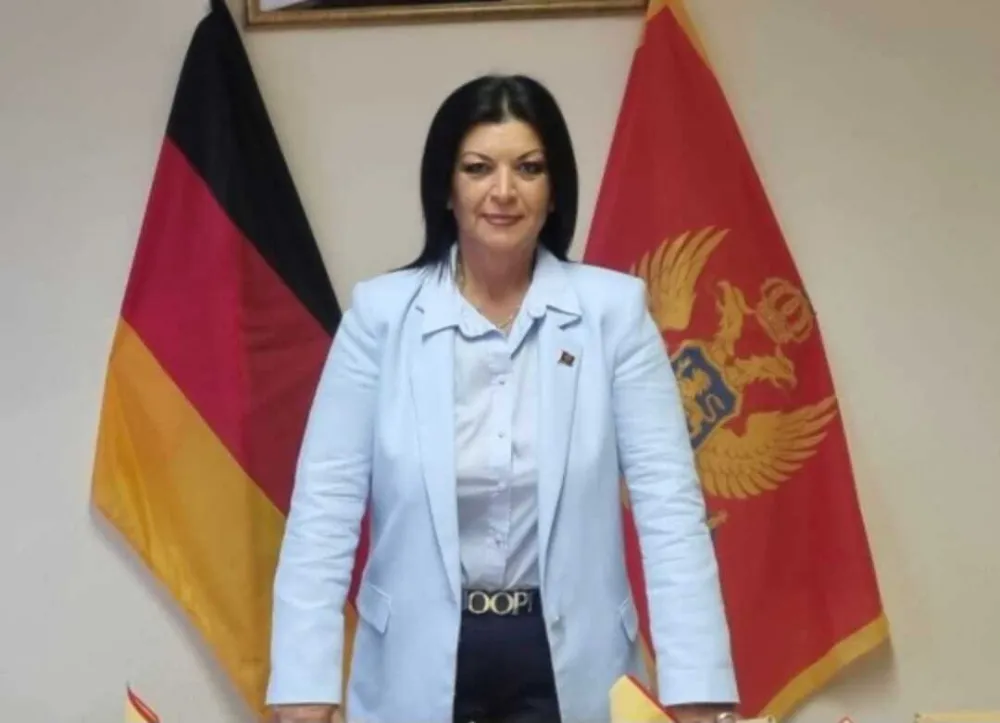 Čolović - Kajević: Vrijeme je da dijaspora preuzme punu političku odgovornost