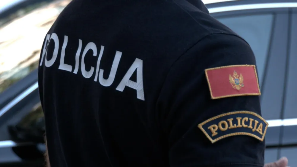 Zadržavanje zbog nasilja u porodici
