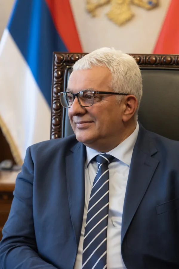 Mandić: Inicijativa o srpskom jeziku ne nanosi &scaron;tetu evropskom putu, zakonima s plavom zastavicom daje se prednost