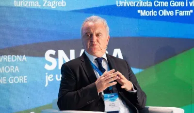 Ostojić: To &scaron;to domaći turista ne može da plati hotel pitanje je za vladu